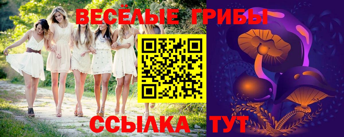 Псилоцибиновые грибы Psilocybine cubensis Верхняя Пышма